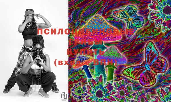 2c-b Сатка
